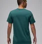 Футболка мужская Air Jordan Flight Hbr Tee Green AO0664-366