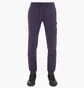 Штаны мужские Stone Island Pantalone Regular Taperedv Violet 101564551-V0026