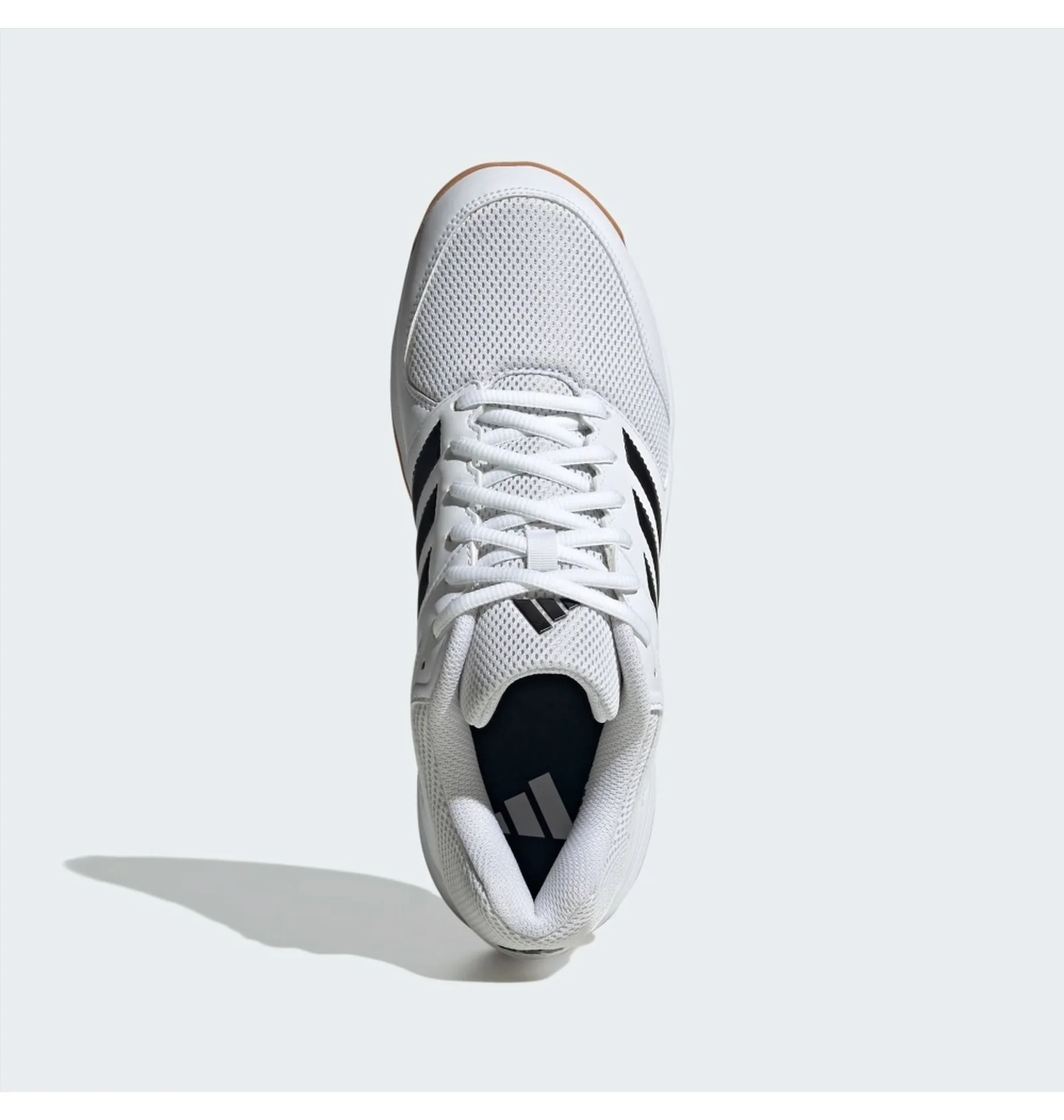 ᐉ Футзалки чоловічі Adidas Speedcourt In White IE8032 - придбати