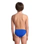 Плавки детские Arena Fantasize Swim Briefs Multi 006719-527