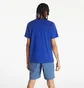 Футболка мужская Air Jordan Sport Dna Wordmark Blue DH8978-455