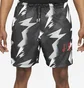 Шорты мужские Air Jordan M J Jumpman Air Msh Aop Short Grey CZ4757-010