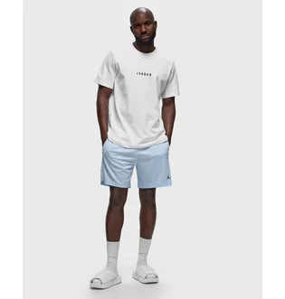 Шорти чоловічі Air Jordan M J Df Sprt Mesh Short Light Blue FN5816-441