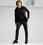 Толстовка чоловіча Puma Evostripe Black 681700-01