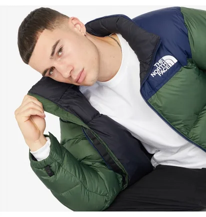 Пуховик мужской The North Face 1996 Retro Nuptse Jacket Green/Blue NF0A3C8DOAS