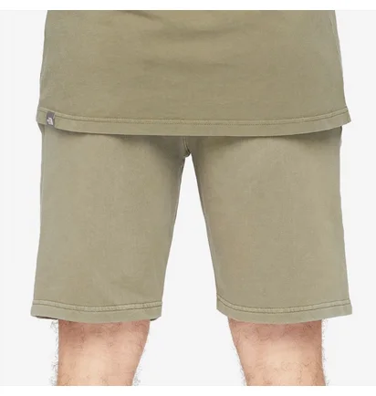 Шорты мужские The North Face Heritage Dye Pack Logowear Shorts Olive NF0A826M21L