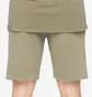 Шорты мужские The North Face Heritage Dye Pack Logowear Shorts Olive NF0A826M21L