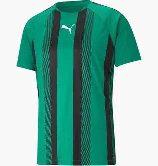 Футболка мужская Puma Teamliga Striped Jersey Green 704920-05