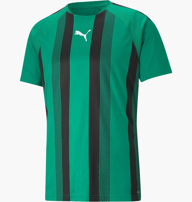 Футболка мужская Puma Teamliga Striped Jersey Green 704920-05
