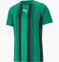 Футболка мужская Puma Teamliga Striped Jersey Green 704920-05
