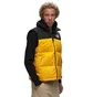 Жилетка мужская The North Face 1996 Retro Nuptse Yellow/Black NF0A3JQQZU3-M