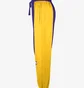Штани чоловічі Nike Los Angeles Lakers Showtime Dri-Fit Nba Violet/Yellow DX9432-728
