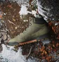 Черевики унісекс Adidas Terrex Snowpitch Cold.Rdy Hiking Olive IH3665
