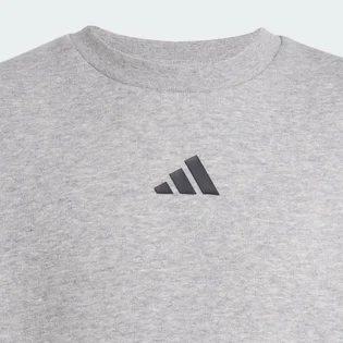 Світшот дитячий Adidas All Szn Graphic Grey JC7642