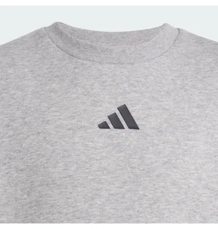 Свитшот детский Adidas All Szn Graphic Grey JC7642