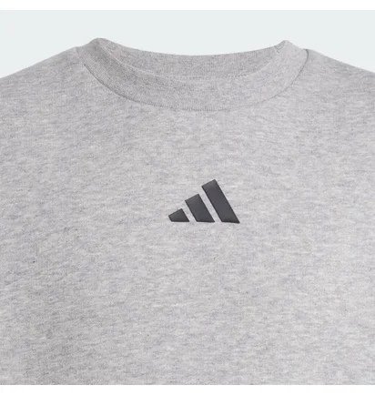 Свитшот детский Adidas All Szn Graphic Grey JC7642