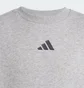 Свитшот детский Adidas All Szn Graphic Grey JC7642