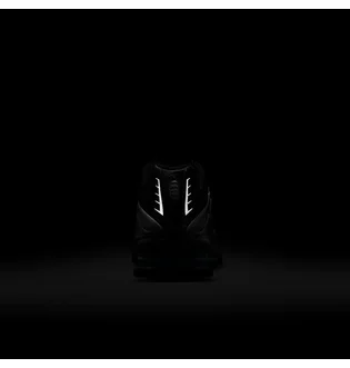 Кроссовки детские Nike Shox R4 Metallic CW2626-004