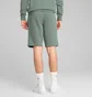 Шорти чоловічі Puma Ess 2 Color No.1 Logo Shorts 10 Green 684715-30