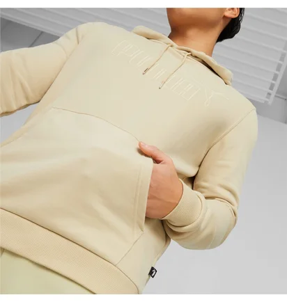 Худи мужское Puma Essentials+ Beige 673387-88