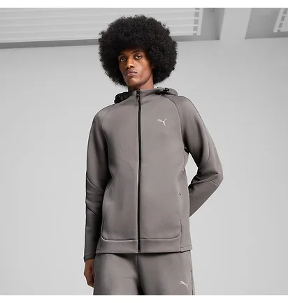 Толстовка мужская Puma Evostripe Full-Zip Hoodie Grey 684613-79