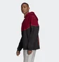 Худи мужское Adidas Balanta 96 Originals Bordo/Black FM3909