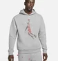 Худи мужское Air Jordan Essentials Grey DC9713-091