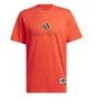 Футболка мужская Adidas Wwh Logo G T Orange IY1156