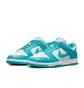 Кросівки жіночі Nike Dunk Low Next Nature Blue/Turquoise DD1873-105