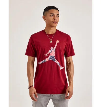 Футболка мужская Air Jordan Watercolor Tee Red FN5980-677