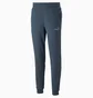 Штаны мужские Puma Ess Elevated Blue 673388-16