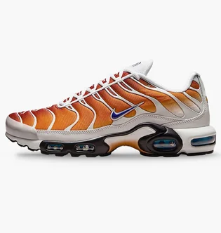 Кроссовки мужские Nike One Block Down X Air Max Plus Reverse MenS Shoes Grey FZ3308-700