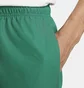 Шорти чоловічі Nike Club Woven Shorts Green FN3303-365