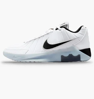 Кроссовки мужские Nike Lebron Witness 9 White HQ8034-100