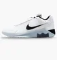 Кроссовки мужские Nike Lebron Witness 9 White HQ8034-100