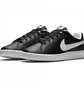 Кросівки чоловічі Nike Court Royale Black 749747-010