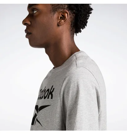 Футболка мужская Reebok Identity Big Stacked Logo T-Shirt Grey 100071173