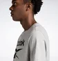 Футболка мужская Reebok Identity Big Stacked Logo T-Shirt Grey 100071173