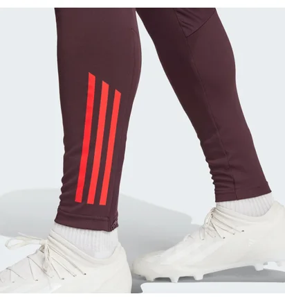 Штаны мужские Adidas Fc Bayern Tiro 24 Training Bordo IS9939