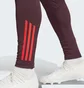 Штаны мужские Adidas Fc Bayern Tiro 24 Training Bordo IS9939