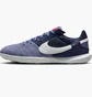 Футзалки унісекс Nike Streetgato Violet DC8466-500