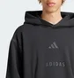 Худі чоловіче Adidas All Szn Fleece Graphic Sportswear Black JJ3665