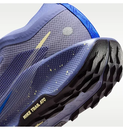 Кроссовки женские Nike W Pegasus Trail 5 Gtx Blue FQ0912-402