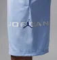 Шорты детские Air Jordan Trousers Baseline Hydrogen Light Blue 95D667-U3C