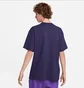 Футболка чоловіча Nike Sportswear Premium Essentials Violet DO7392-555