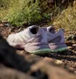 Кросівки жіночі Adidas Terrex Soulstride Trail Running Shoes Violet ID7762
