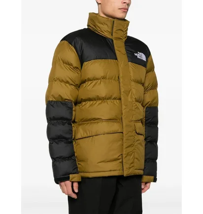 Куртка чоловіча The North Face Limbara Brown/Black NF0A89EG1OB