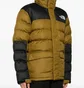 Куртка чоловіча The North Face Limbara Brown/Black NF0A89EG1OB