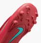 Бутсы детские Nike Mercurial Vapor 16 Club Mg Red FQ8290-800