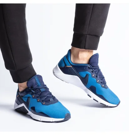 Кроссовки мужские Nike Legend Essential 2 Blue CQ9356-402